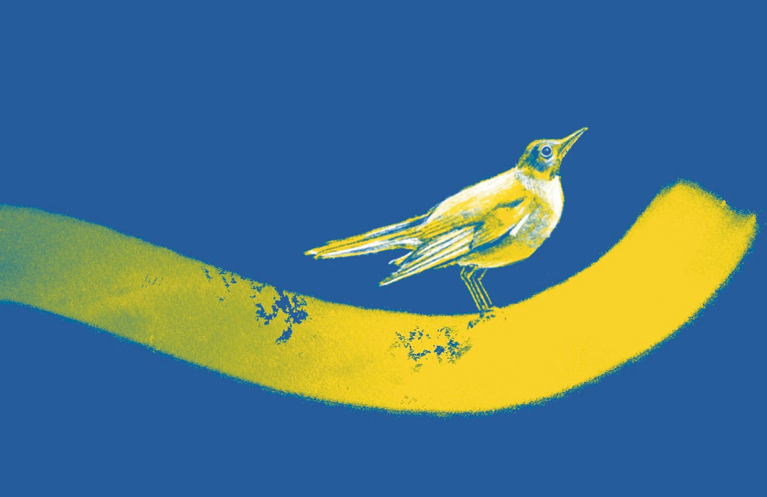 Nightingale looks up and to the right with yellow and blue background of the Ukrainian flag